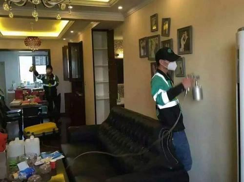 守护居家健康防线:甲醛治理与除害防护全服务